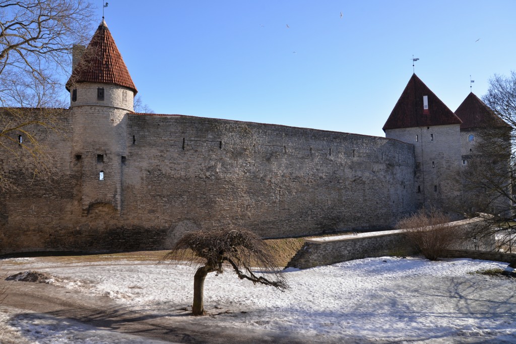 Tallin - wall