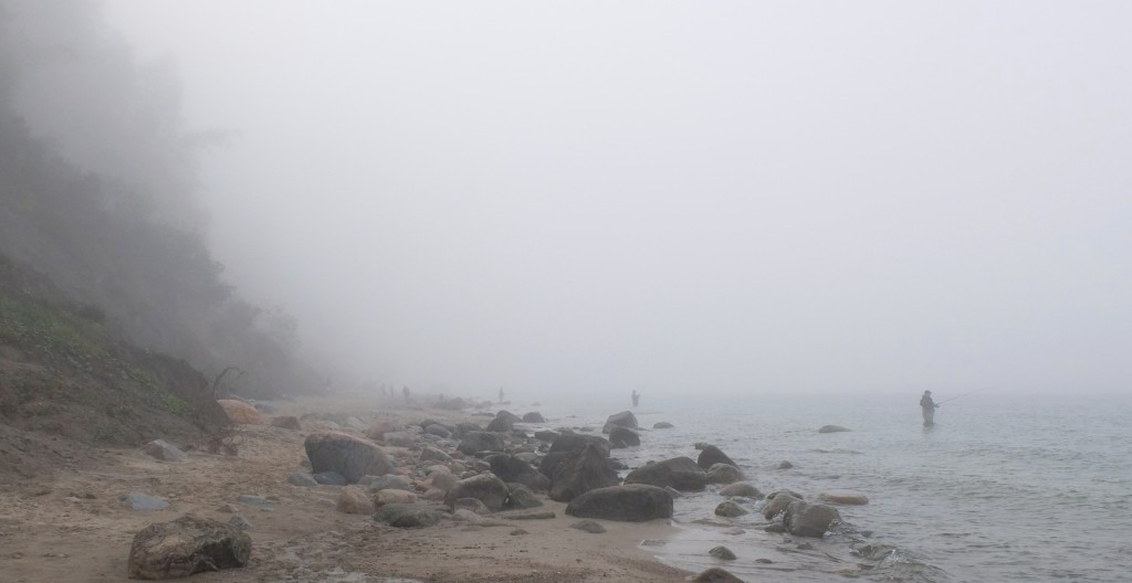 Mgła w Gdyni