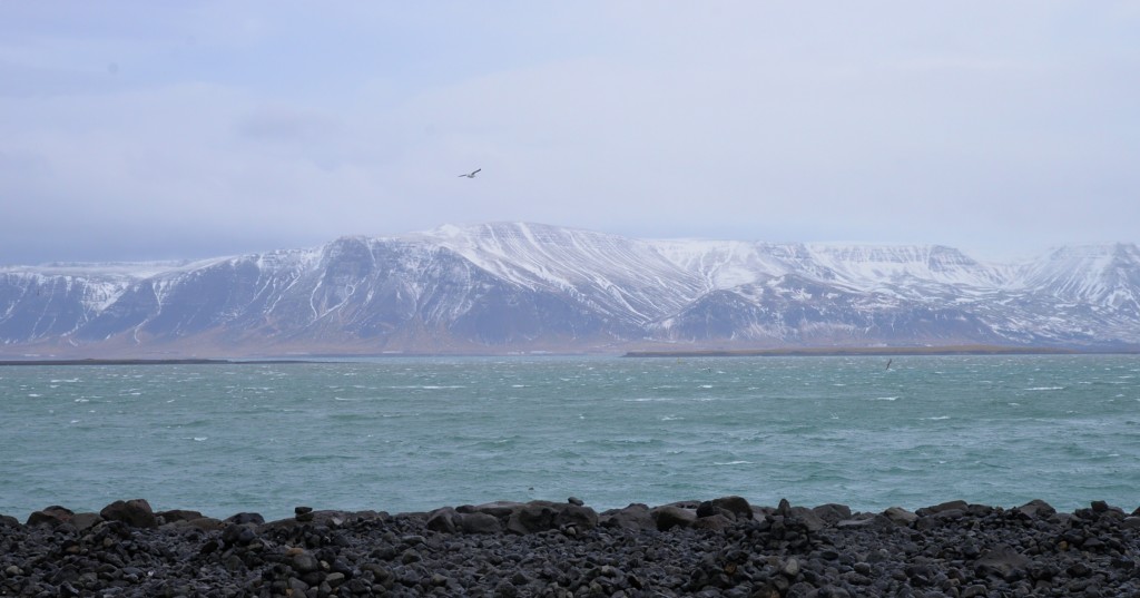 Reykjavik - Esja