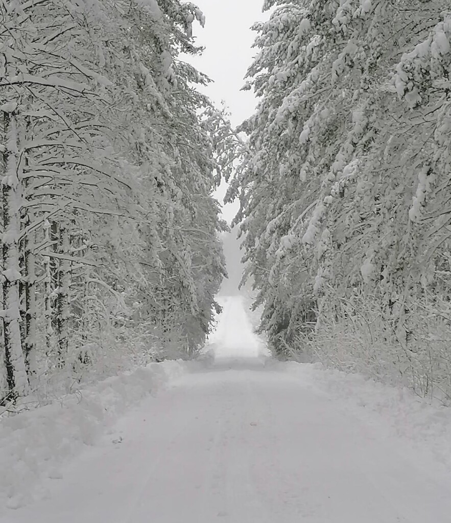 Zima w Polsce 4
