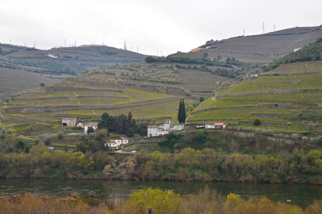 Dolina Douro