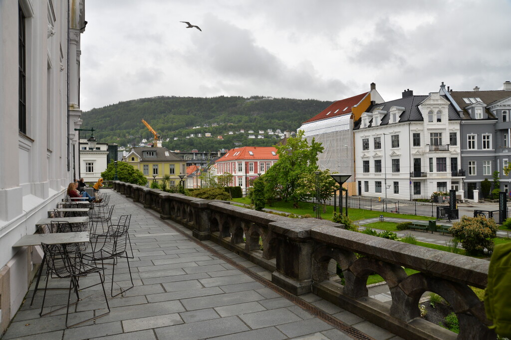 Kawka na uniwersytecie w Bergen