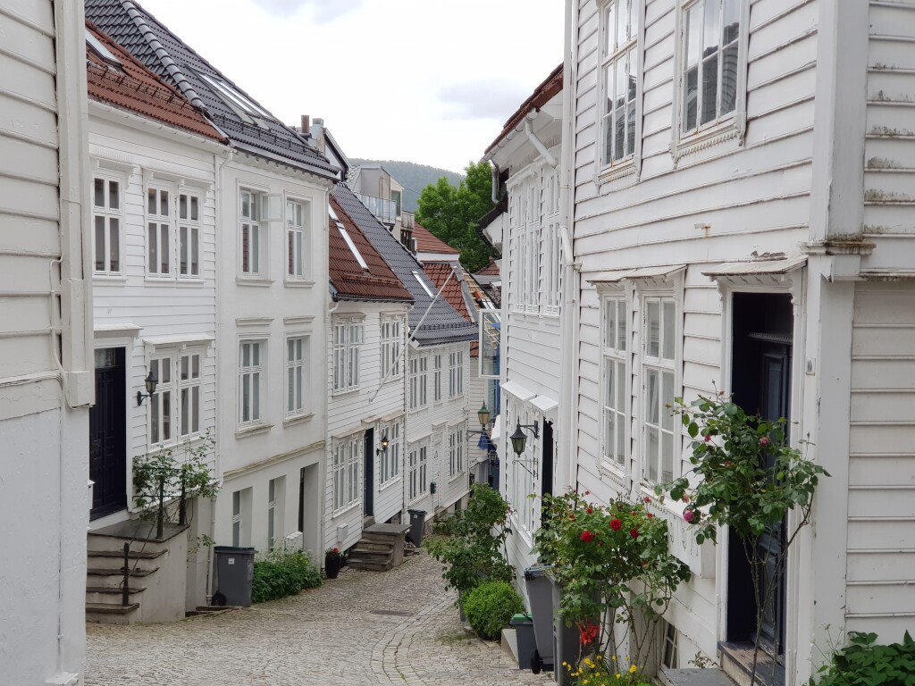 4. Bergen